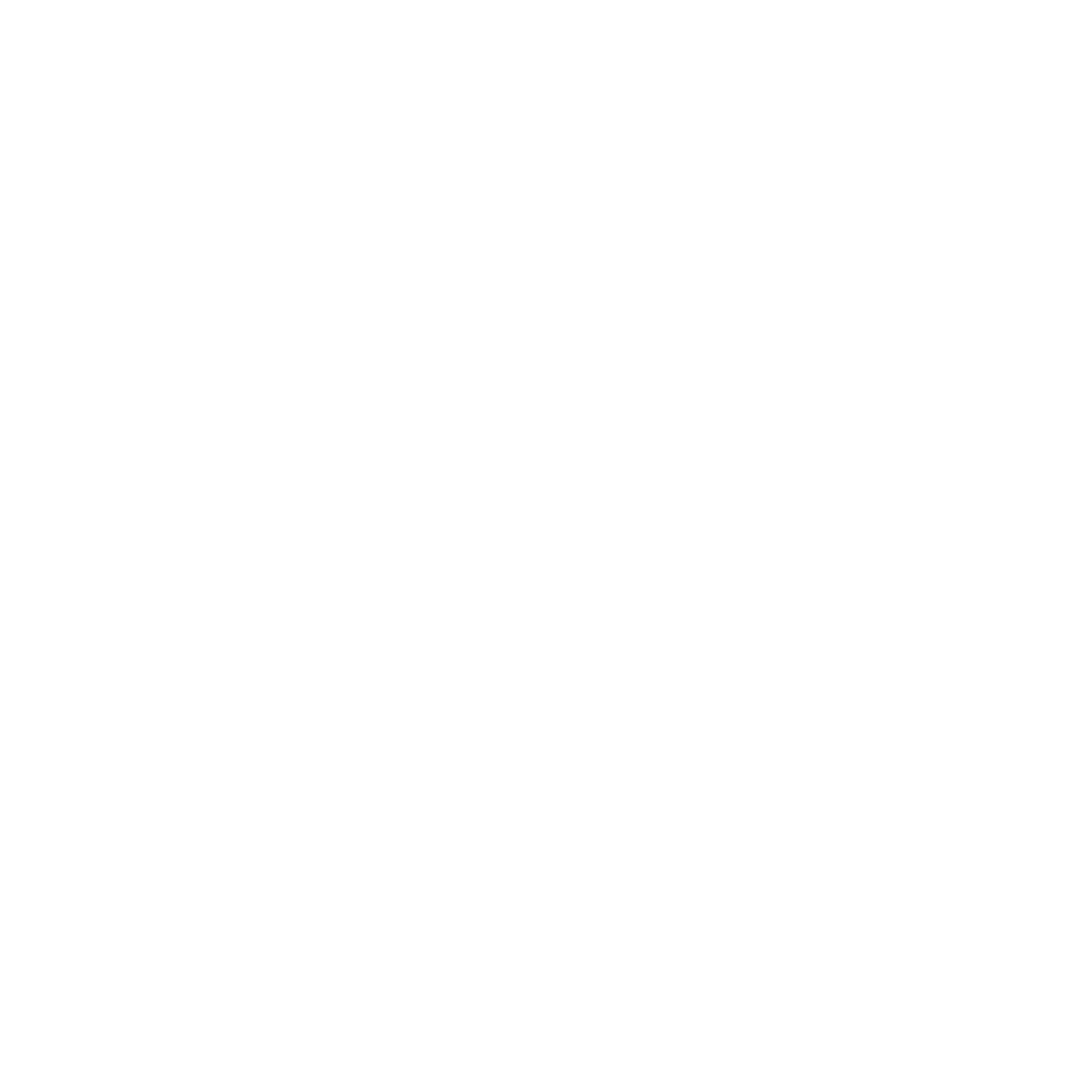 logo blanc nvm de la marque nèg a vyé manni